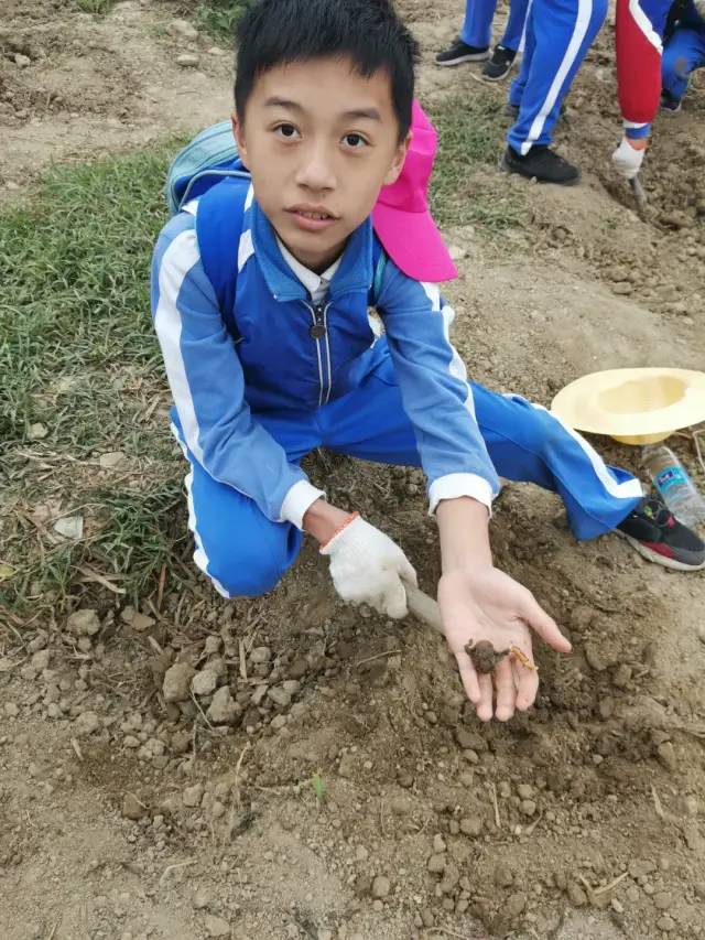 https://mmbiz.qpic.cn/mmbiz/dAic7qPLpEBgt8mzIib7tgdoib9C8O2rpqicBzUwXM3JILWn8LK1C0VX9jpYU7P62szBn59eLUZUxeXFmjHPQBmNxQ/640?wx_fmt=other