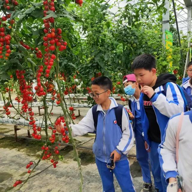 https://mmbiz.qpic.cn/mmbiz/dAic7qPLpEBgt8mzIib7tgdoib9C8O2rpqicfDialkiaBaXC18IozVbpk2ib9E854A6fX98qtNZEpvKPuxdq6Qxl9BiaXg/640?wx_fmt=other
