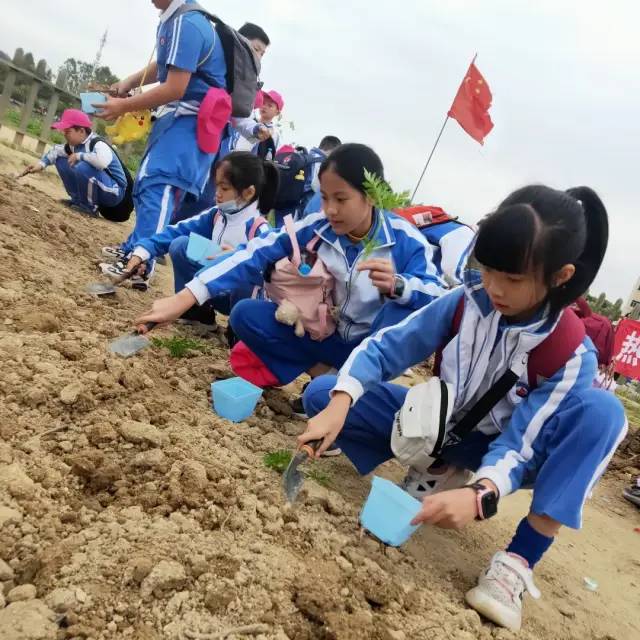 https://mmbiz.qpic.cn/mmbiz/dAic7qPLpEBgt8mzIib7tgdoib9C8O2rpqicHn5V5WVNPR8qdEt18hIuGv2oKCVUfeicJXuR7IeA4fltoFVUVIVqiaww/640?wx_fmt=other