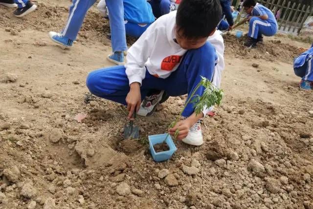 https://mmbiz.qpic.cn/mmbiz/dAic7qPLpEBgt8mzIib7tgdoib9C8O2rpqicRichrZpB20SAjDI1eOGicSBGRX8xOdfeQkq2JSCAmvYQFMvLPRXg1t4g/640?wx_fmt=other