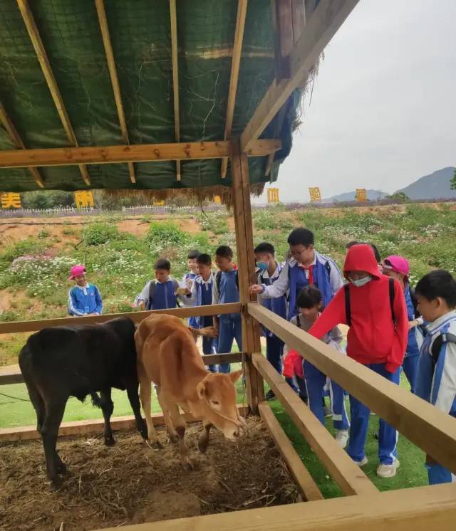 https://mmbiz.qpic.cn/mmbiz/dAic7qPLpEBgt8mzIib7tgdoib9C8O2rpqicAia9IVic2pwlUajxPsY22MWAFNXbmhiaJrCY0eGIynqlTcWnfJEnPdibCA/640?wx_fmt=other