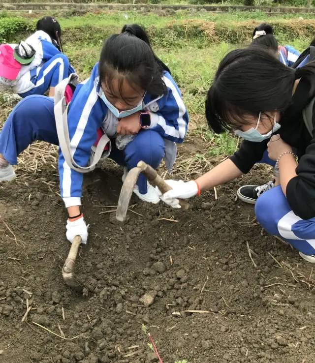 https://mmbiz.qpic.cn/mmbiz/dAic7qPLpEBgt8mzIib7tgdoib9C8O2rpqickIqCQDBM7e2f6RAic14QLDDr2lR2zI9dnLTOiaj6wGrMfJ8RXfImL6Dw/640?wx_fmt=other