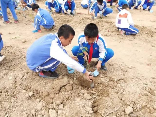 https://mmbiz.qpic.cn/mmbiz/dAic7qPLpEBgt8mzIib7tgdoib9C8O2rpqic2uEzQGibTEpCuTepwAebGuOUYib3mN6OAjEjWPWd1b1s1CicJ0Wxzc6KQ/640?wx_fmt=other