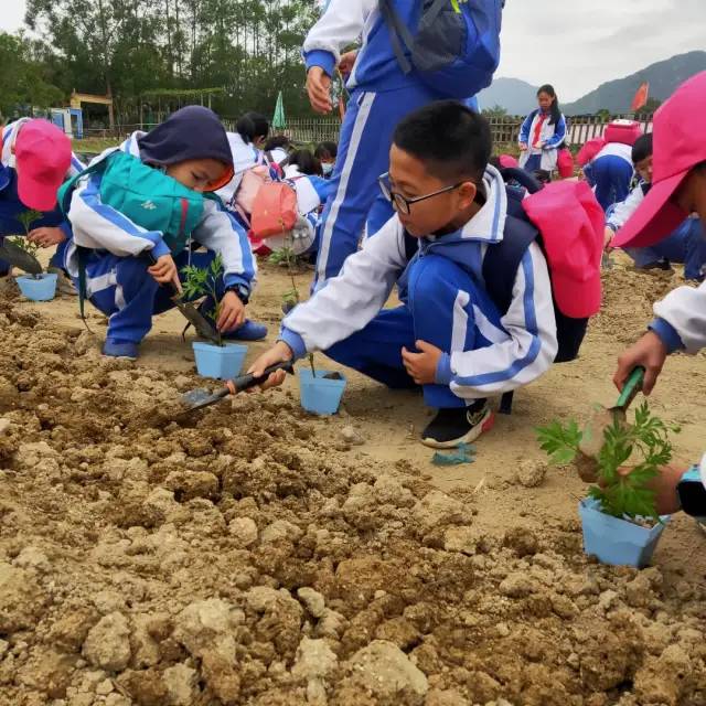 https://mmbiz.qpic.cn/mmbiz/dAic7qPLpEBgt8mzIib7tgdoib9C8O2rpqicHicibGeo7WBychSUbSPqMPwUluh7movibjIJyIL7czyshBlrPJicENl5bg/640?wx_fmt=other