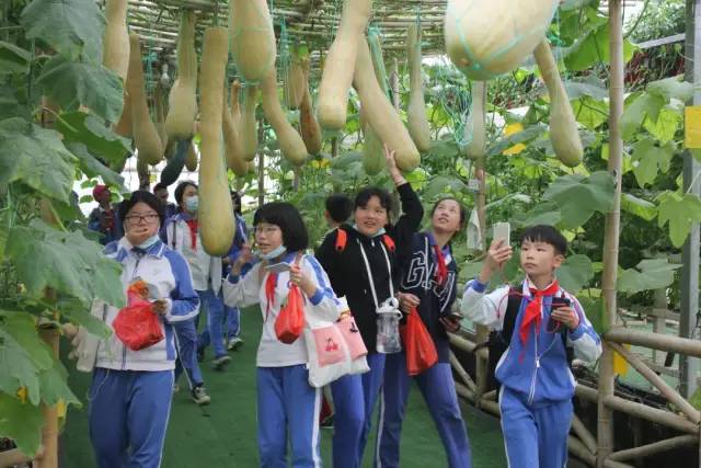 https://mmbiz.qpic.cn/mmbiz/dAic7qPLpEBgt8mzIib7tgdoib9C8O2rpqicpIN2WDDCCkKsOJlP4ehRBnHeRNibWJuQH2dSCN4cp8P3yR6BpKKEoMQ/640?wx_fmt=other